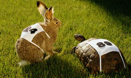 Tortoise and hare, ready to race